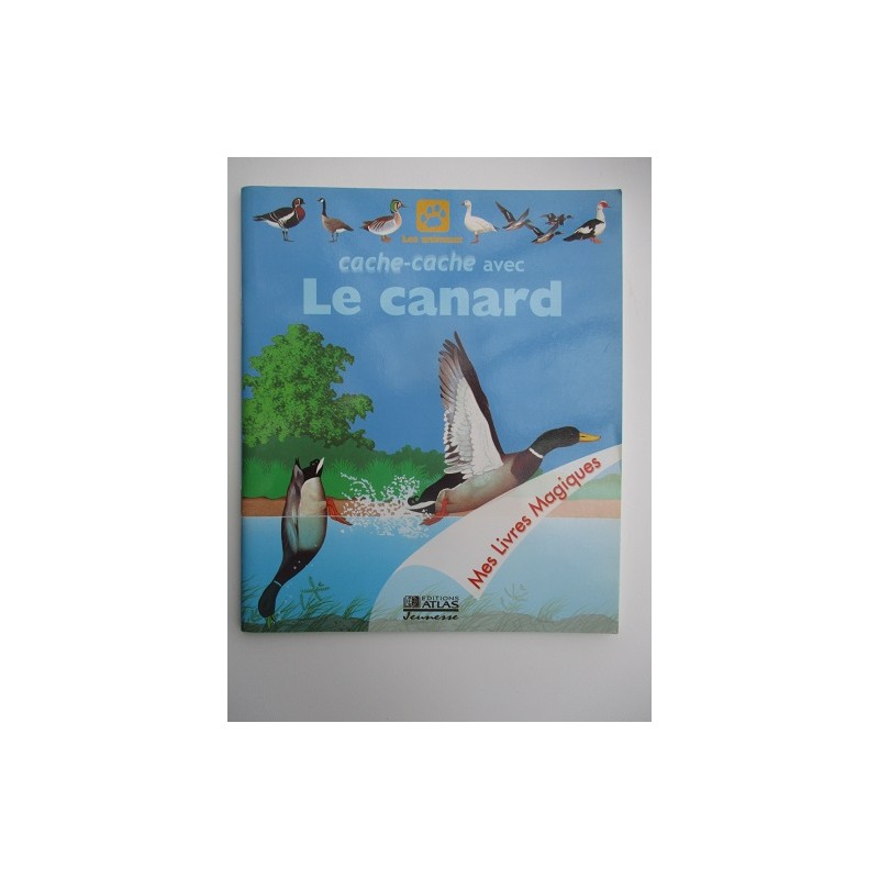 Cache cache avec le canard