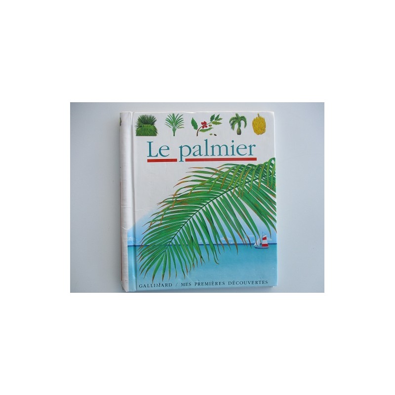 Le palmier - René Metler Le palmier - René Metler